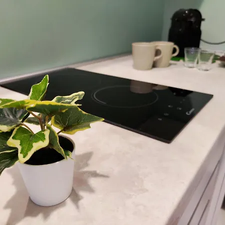 The Green Apt - Stylish And Confortable Large Studio Close To Metro * Milan